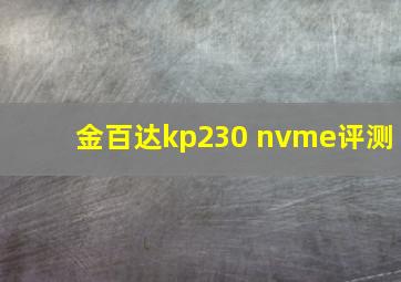 金百达kp230 nvme评测